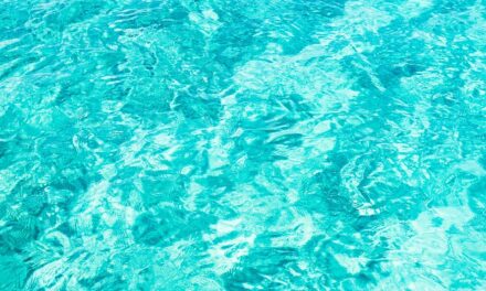 Zpátky k průzračné vodě – jak se zbavit zelené vody v bazénu